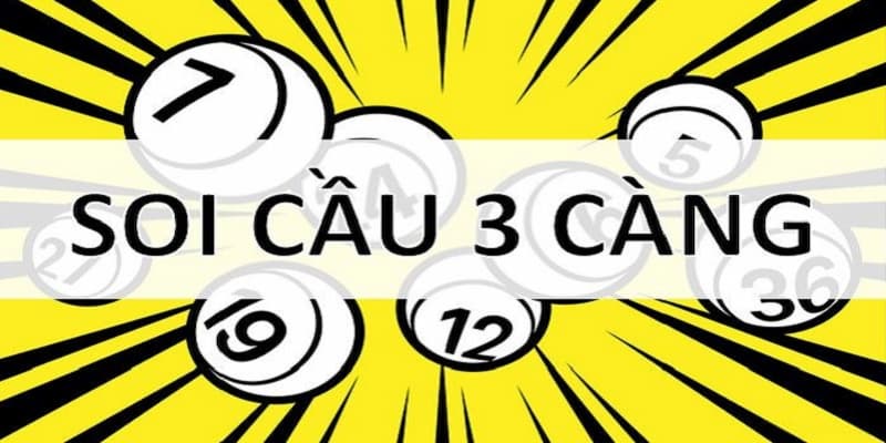 Các điểm lưu ý quan trọng