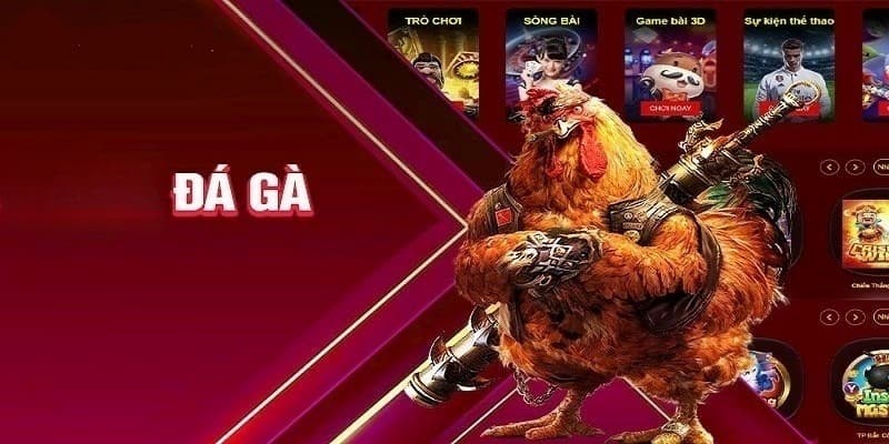 Các thể loại cược hấp dẫn