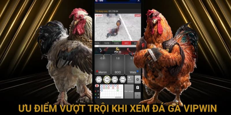 Một số ưu điểm nổi bật
