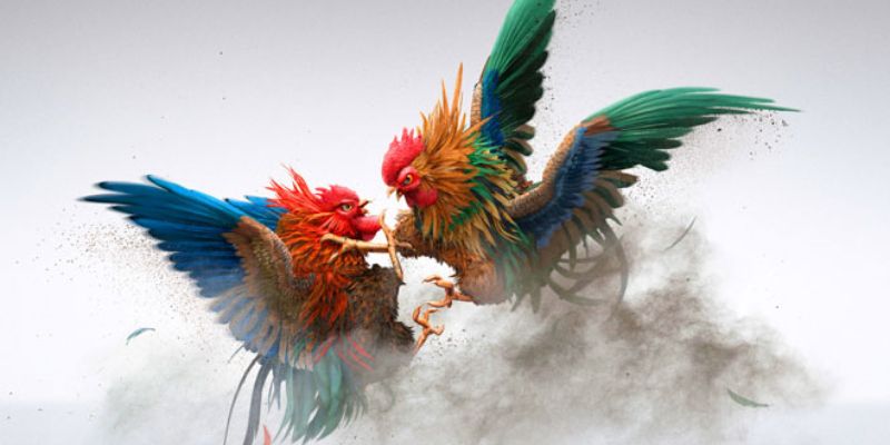 gioi-thieu-ve-sieu-pham-da-ga-c54