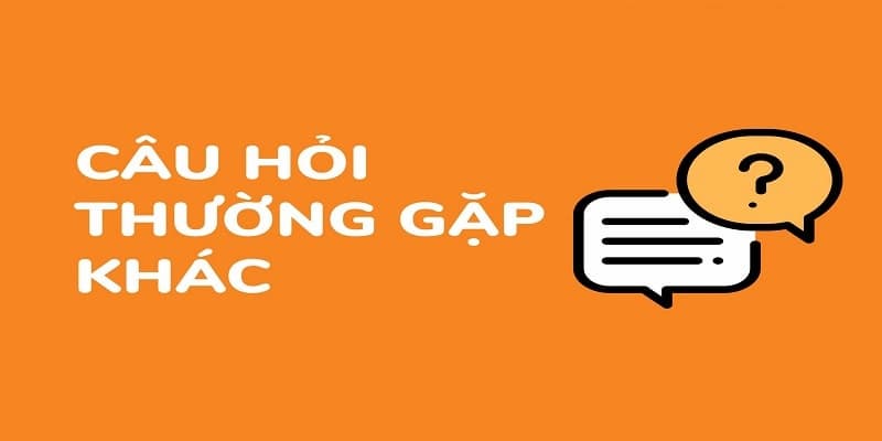 tong-quan-chuyen-muc-cau-hoi-thuong-gap-100vip